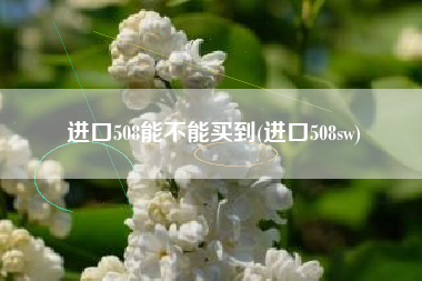 进口508能不能买到(进口508sw) 进口508能不能买到(进口508sw)