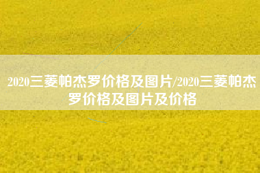 2020三菱帕杰罗价格及图片/2020三菱帕杰罗价格及图片及价格