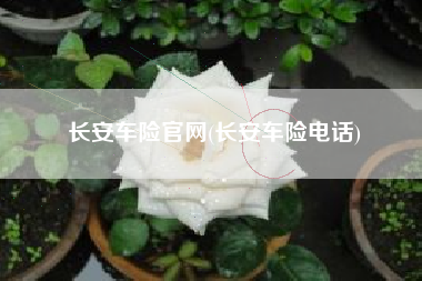 长安车险官网(长安车险电话) 长安车险官网(长安车险电话)