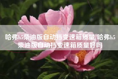 哈弗h5柴油版自动挡变速箱质量/哈弗h5柴油版自动挡变速箱质量好吗