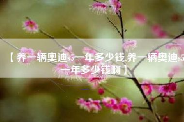 【养一辆奥迪s5一年多少钱,养一辆奥迪s5一年多少钱啊】