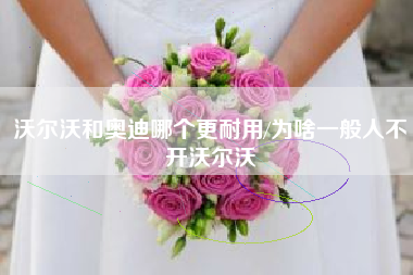 沃尔沃和奥迪哪个更耐用/为啥一般人不开沃尔沃