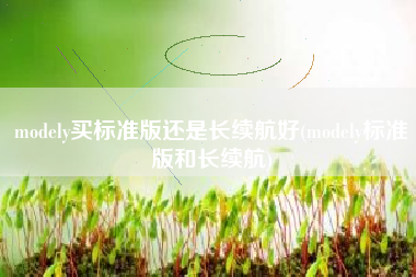 modely买标准版还是长续航好(modely标准版和长续航) modely买标准版还是长续航好(modely标准版和长续航)