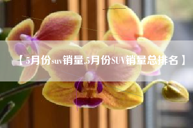 【5月份suv销量,5月份SUV销量总排名】
