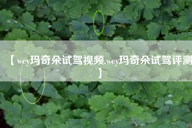 【wey玛奇朵试驾视频,wey玛奇朵试驾评测】 【wey玛奇朵试驾视频,wey玛奇朵试驾评测】