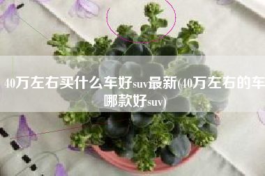 40万左右买什么车好suv最新(40万左右的车哪款好suv)