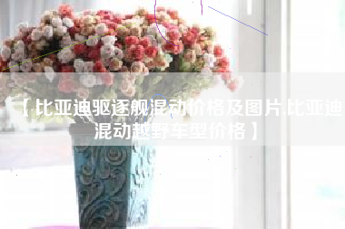 【比亚迪驱逐舰混动价格及图片,比亚迪混动越野车型价格】