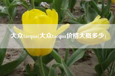 大众tacqua(大众tacqua价格大概多少)