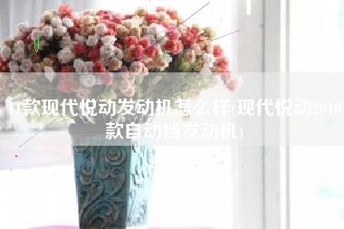 11款现代悦动发动机怎么样(现代悦动2010款自动挡发动机)