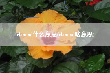 clannad什么意思(clannad啥意思)