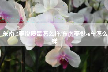 东南v5菱悦质量怎么样/东南菱悦v6车怎么样