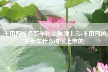 丰田普拉多新车什么时候上市(丰田普拉多新车什么时候上市的) 丰田普拉多新车什么时候上市(丰田普拉多新车什么时候上市的)